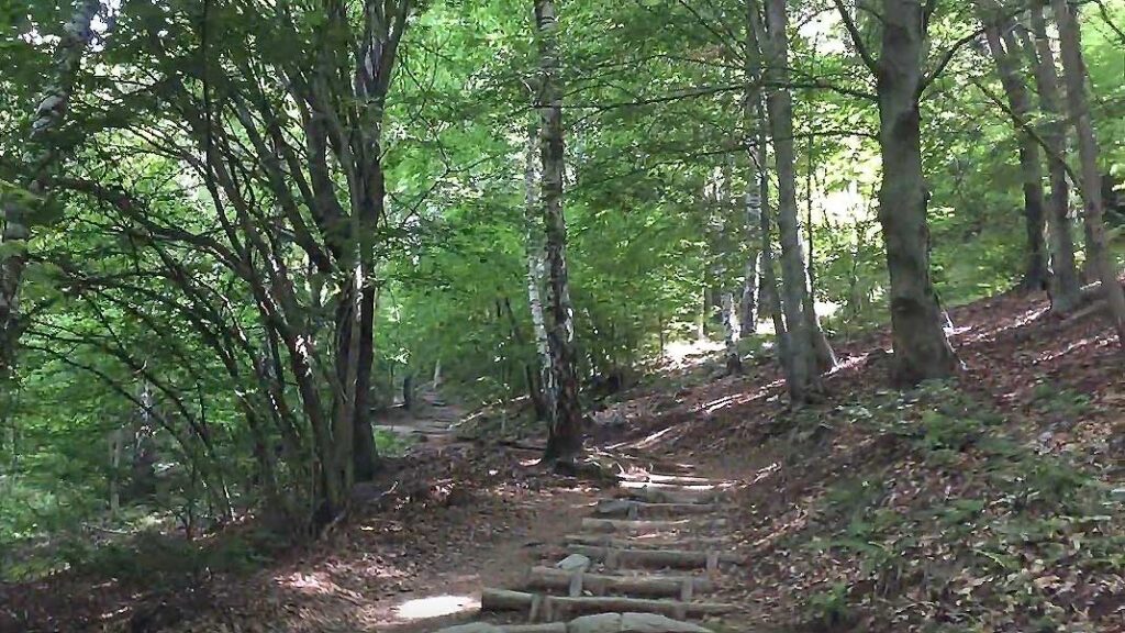The Schignano Expressions Trail