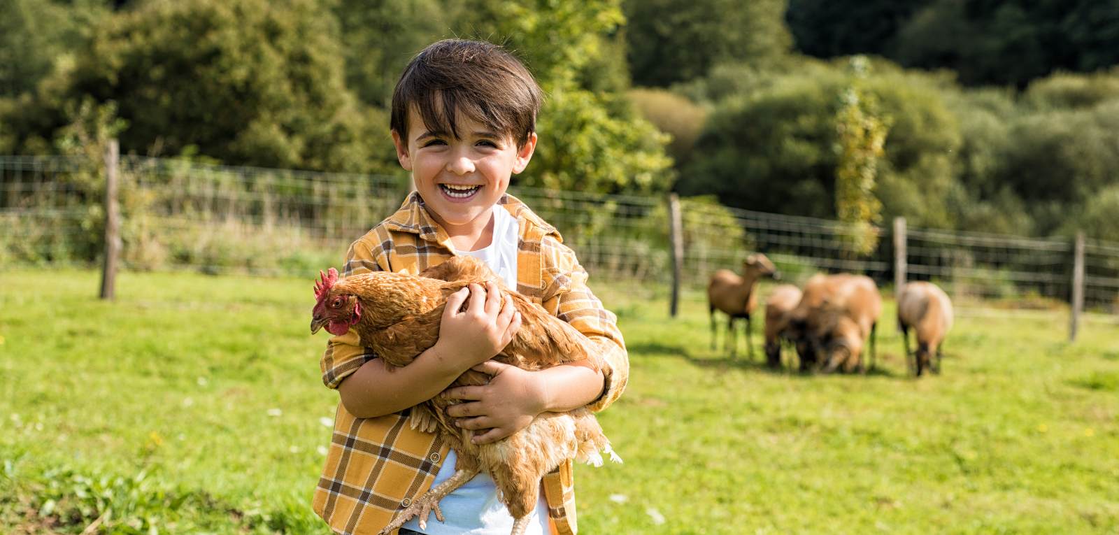 COMO COSA FARE CON BAMBINI intelligence overview